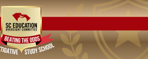 btois banner